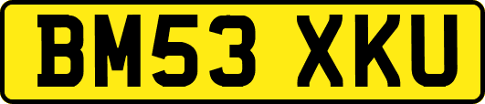 BM53XKU