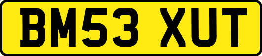 BM53XUT