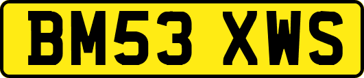 BM53XWS