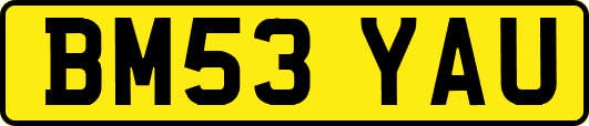 BM53YAU