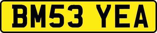 BM53YEA