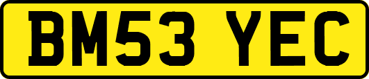 BM53YEC