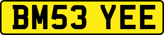BM53YEE