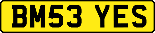 BM53YES
