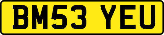 BM53YEU