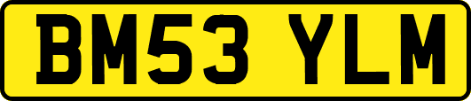 BM53YLM