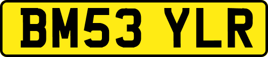 BM53YLR