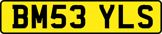 BM53YLS