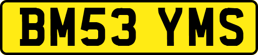 BM53YMS