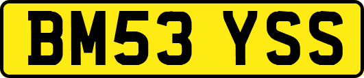 BM53YSS