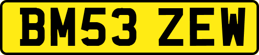 BM53ZEW