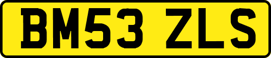 BM53ZLS