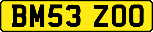 BM53ZOO