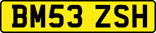 BM53ZSH
