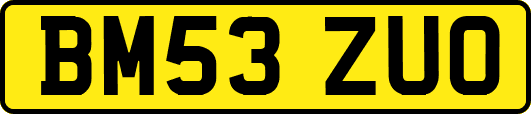 BM53ZUO