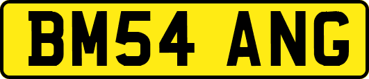 BM54ANG