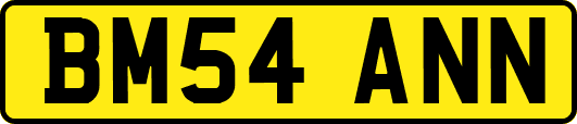 BM54ANN