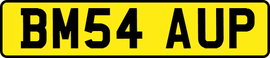 BM54AUP