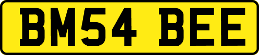 BM54BEE