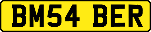 BM54BER