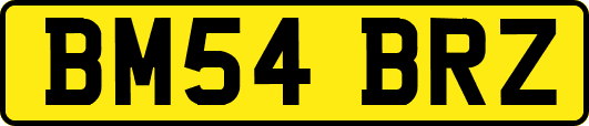 BM54BRZ