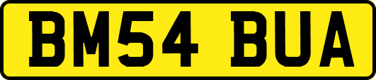BM54BUA