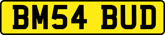 BM54BUD