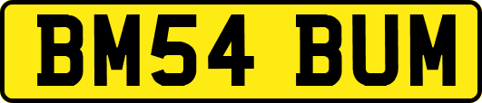 BM54BUM