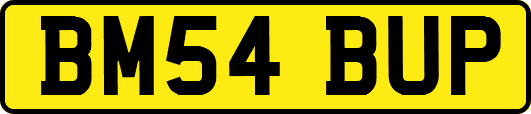 BM54BUP