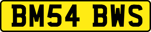 BM54BWS