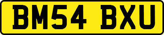 BM54BXU