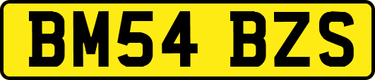BM54BZS