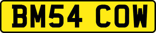 BM54COW