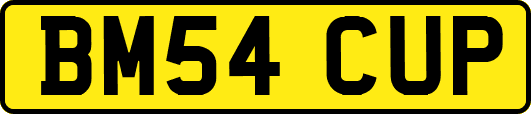 BM54CUP
