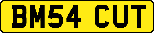 BM54CUT