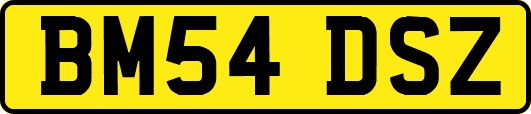 BM54DSZ