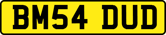 BM54DUD