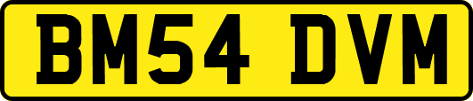 BM54DVM