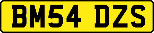BM54DZS