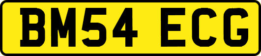BM54ECG