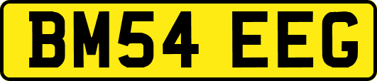 BM54EEG