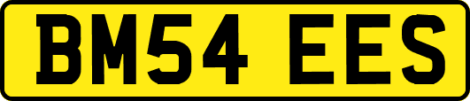 BM54EES