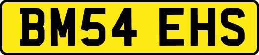 BM54EHS