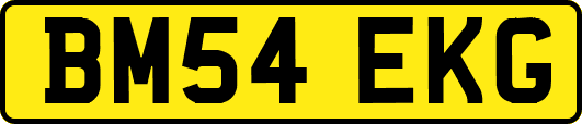 BM54EKG