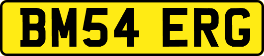 BM54ERG