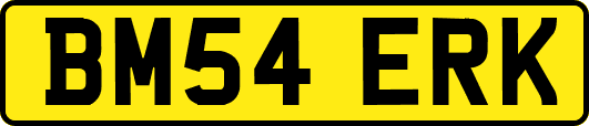 BM54ERK