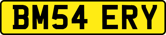 BM54ERY