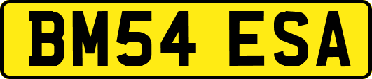 BM54ESA