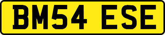 BM54ESE