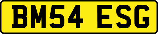 BM54ESG